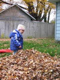 leaves-2.JPG