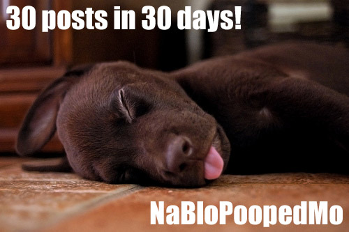 pooped.jpg